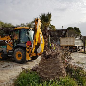 Εργασίες καθαριότητας και κλαδεμάτων στο Δήμο Χαϊδαρίου.